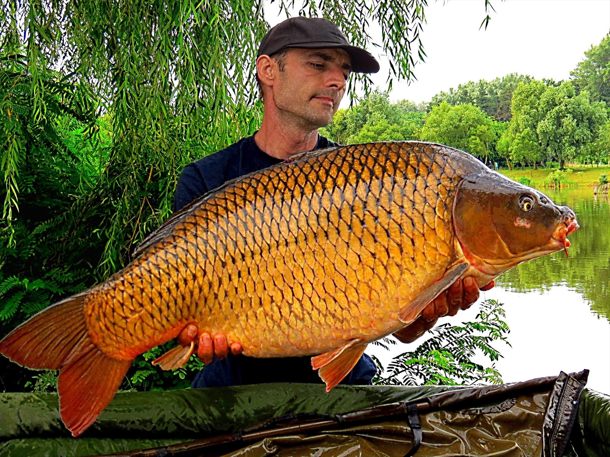 Palici - 001-img5797-1718-kg.JPG